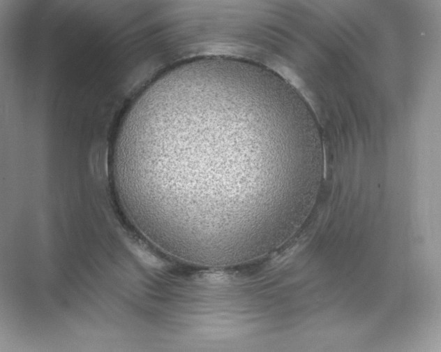 X0000071960253200607212300