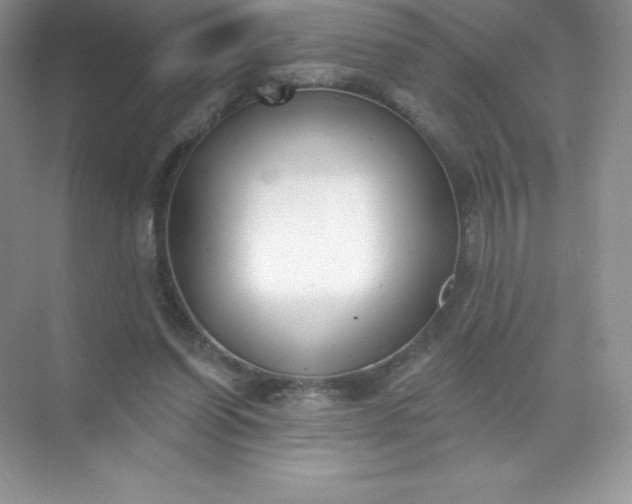 X0000071960254200607212300