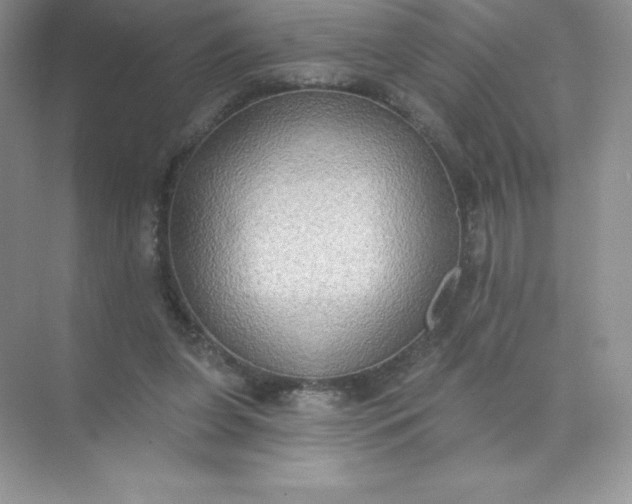 X0000071960255200607212300