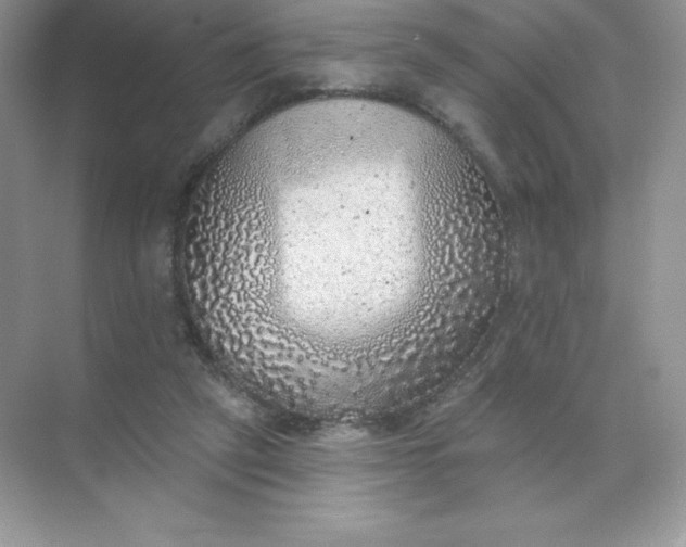 X0000071960257200607212300