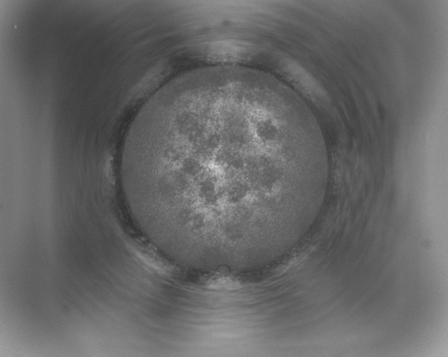 X0000071960258200607212300