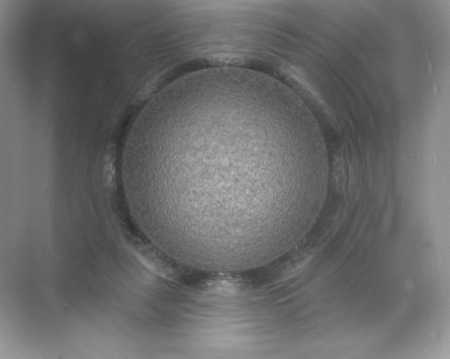 X0000071960259200607212300