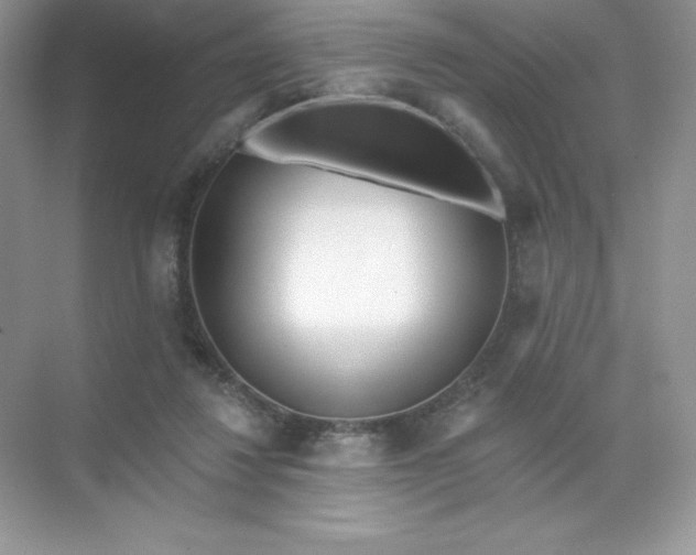 X0000071960260200607212300