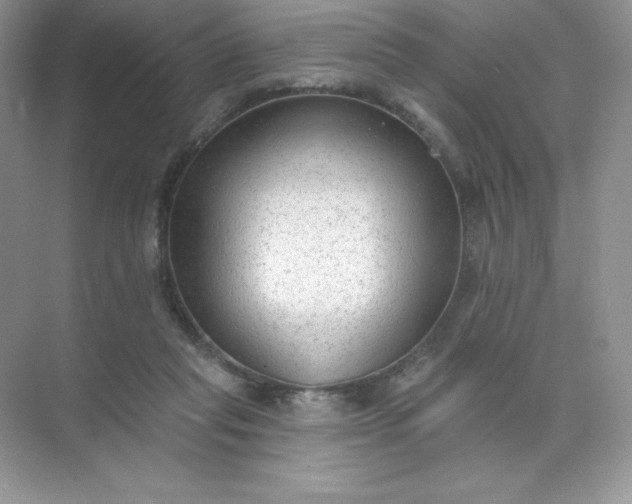 X0000071960261200607212300