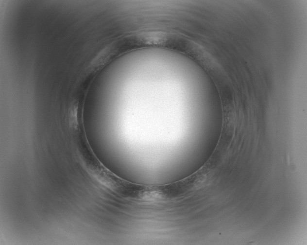 X0000071960262200607212300