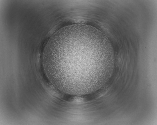 X0000071960263200607212300