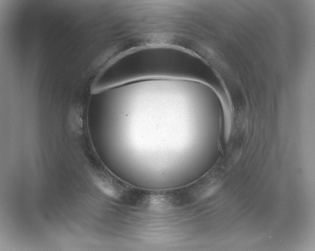 X0000071960264200607212300