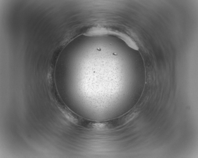 X0000071960265200607212300