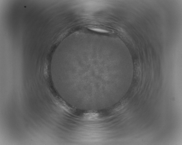 X0000071960266200607212300