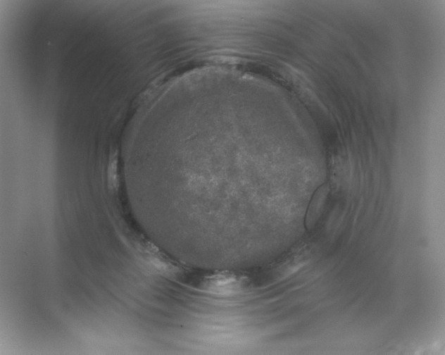 X0000071960267200607212300