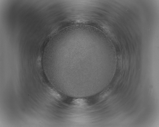 X0000071960269200607212300