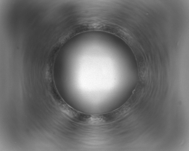 X0000071960270200607212300