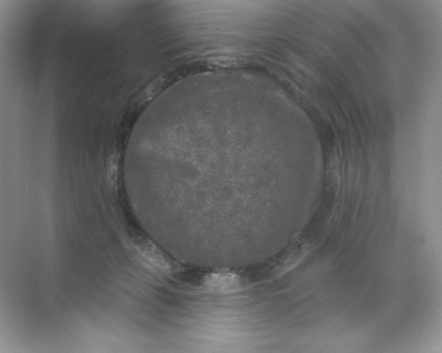 X0000071960271200607212300