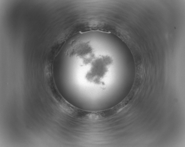 X0000071960272200607212300