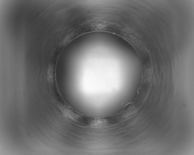 X0000071960274200607212300