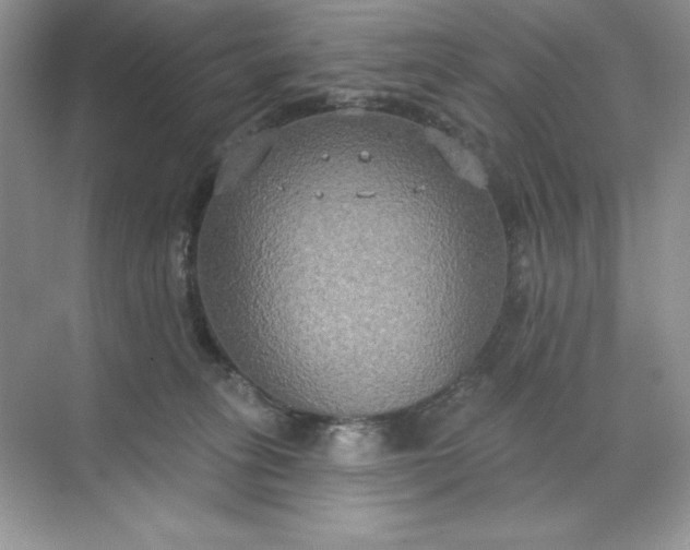 X0000071960275200607212300