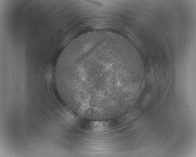 X0000071960277200607212300