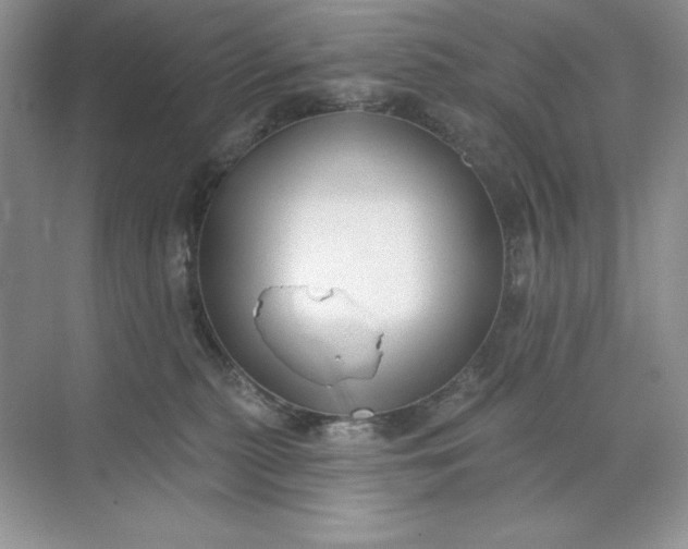 X0000071960279200607212300