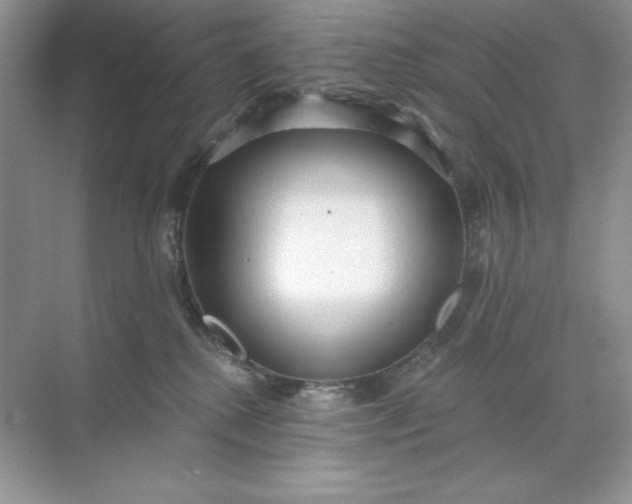 X0000071960280200607212300