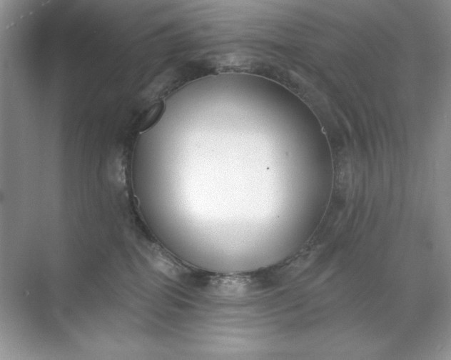 X0000071960282200607212300