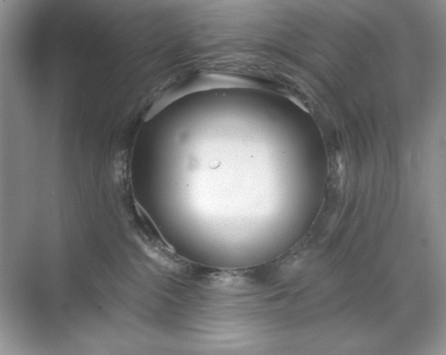 X0000071960284200607212300