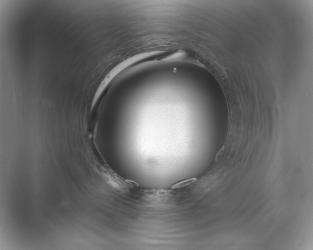 X0000071960288200607212300