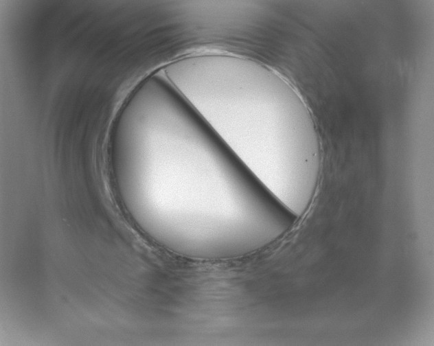 X0000071960289200607212259