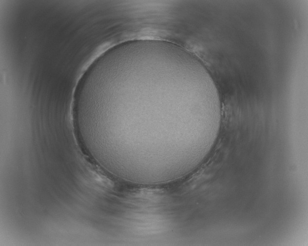 X0000071960292200607212259