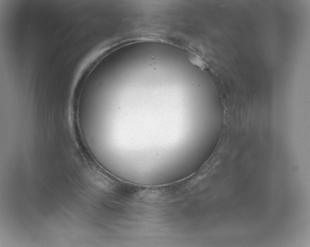 X0000071960294200607212259