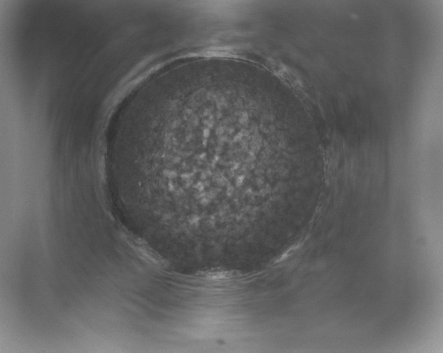 X0000071960295200607212259