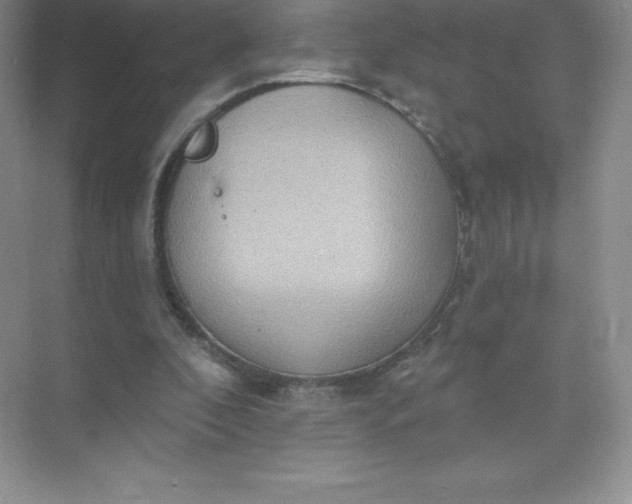 X0000071960296200607212259