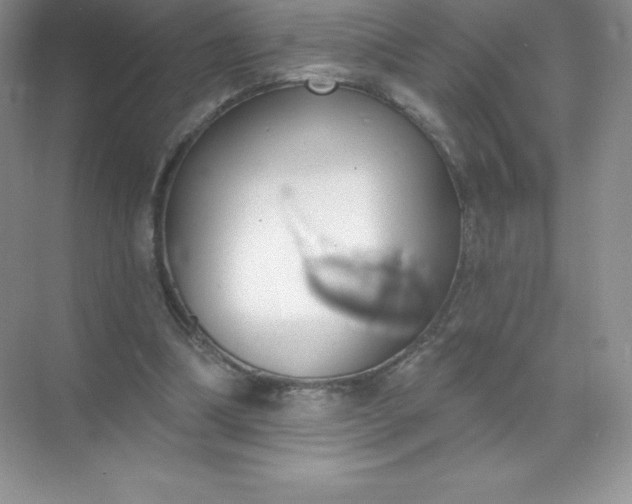 X0000071960298200607212259