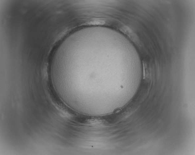 X0000071960300200607212259