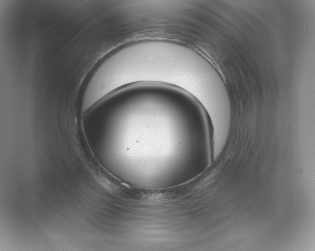 X0000071960301200607212259