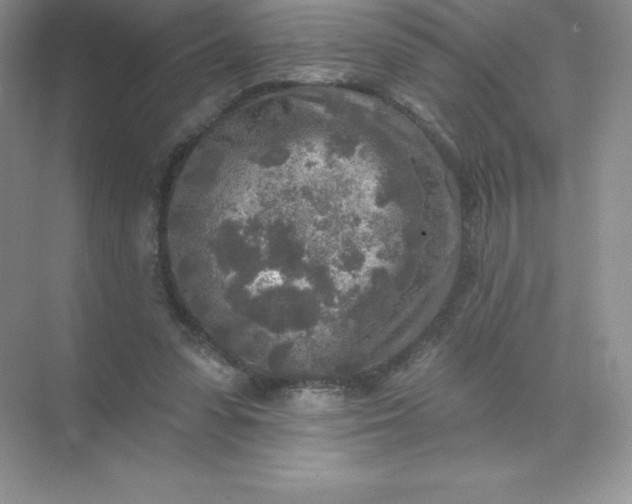 X0000071960303200607212259