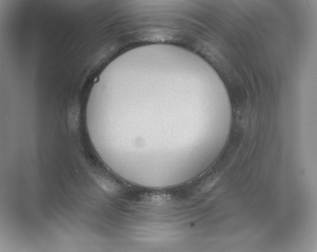 X0000071960304200607212259