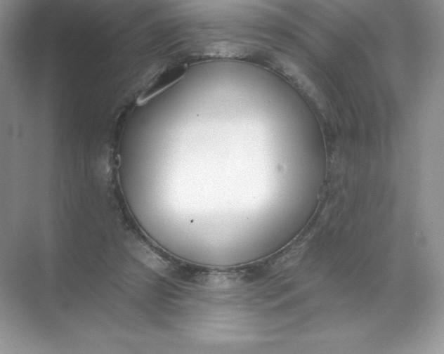 X0000071960305200607212259