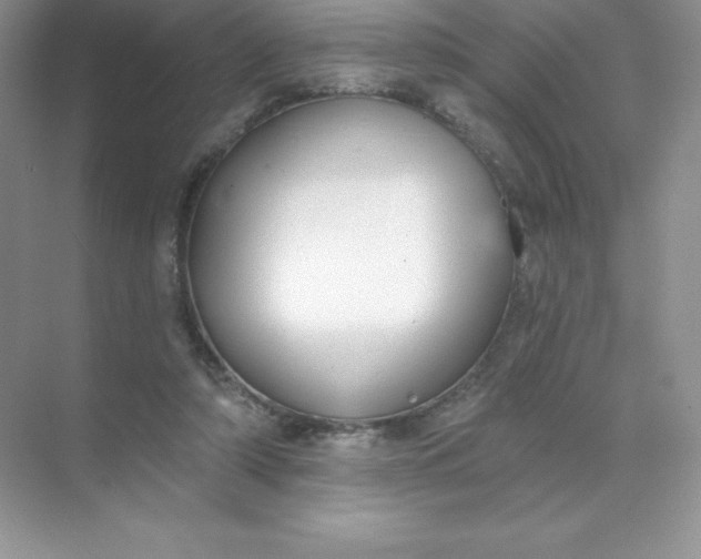 X0000071960306200607212259