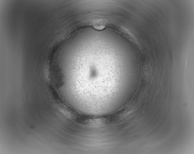 X0000071960307200607212259