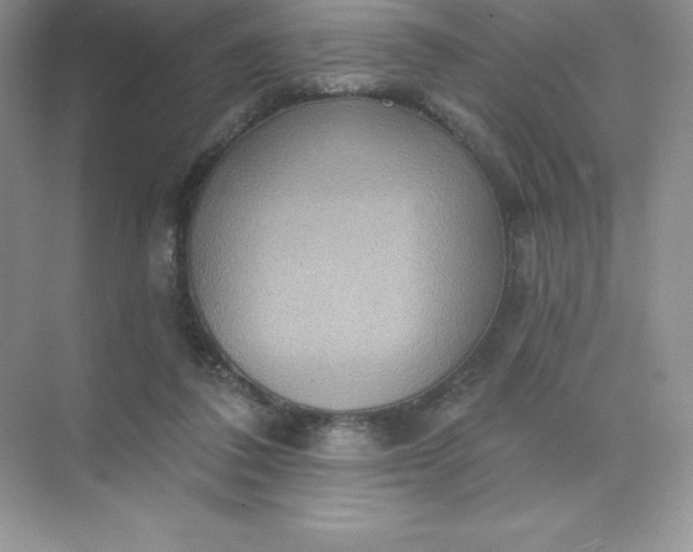 X0000071960308200607212259