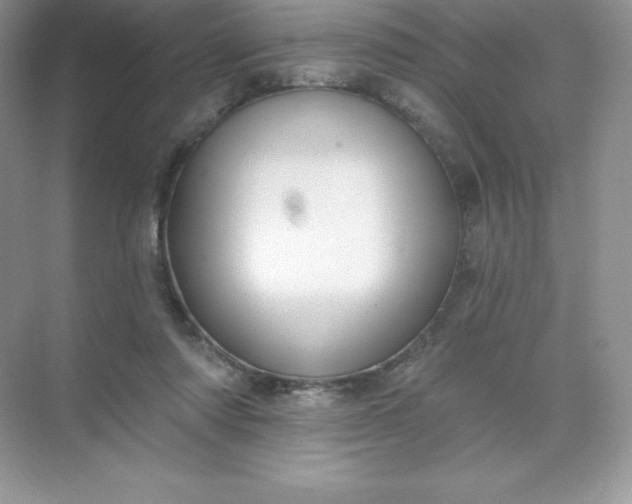 X0000071960310200607212259