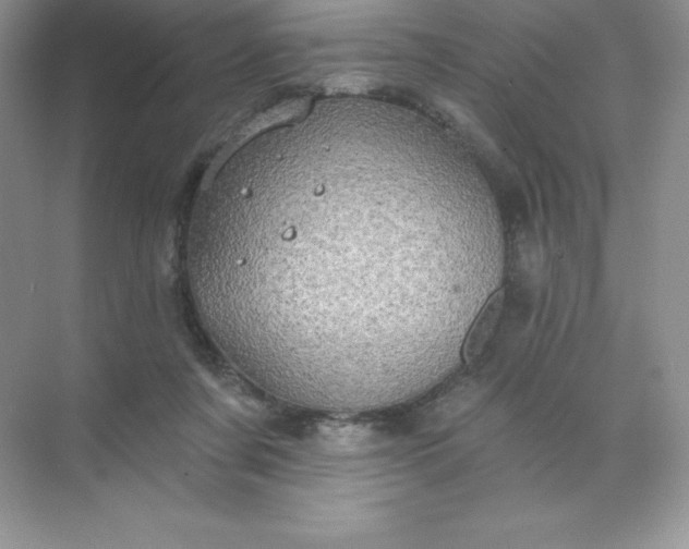 X0000071960311200607212259