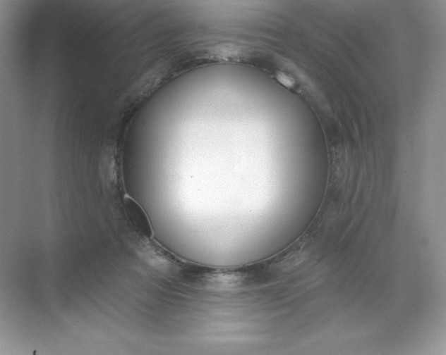 X0000071960313200607212259