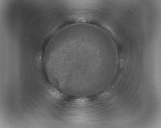 X0000071960314200607212259