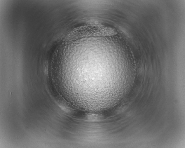 X0000071960315200607212259