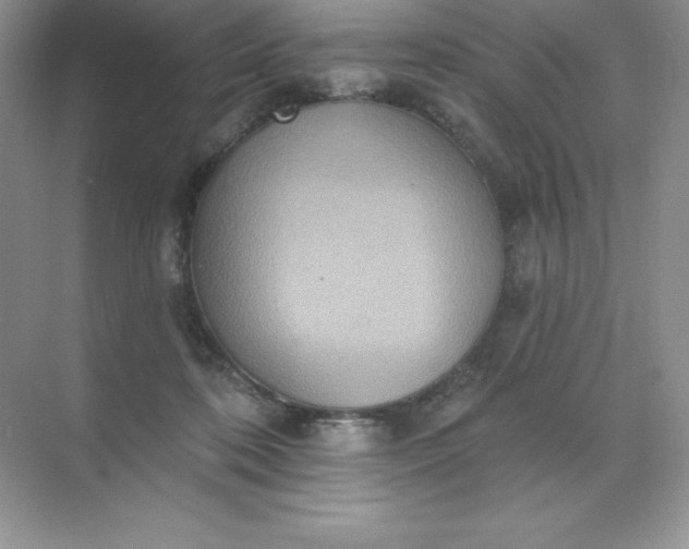 X0000071960316200607212259