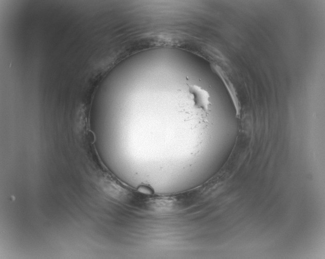 X0000071960318200607212259