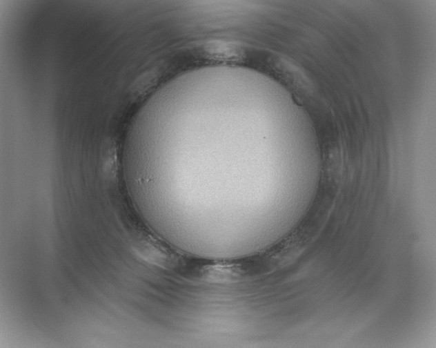 X0000071960320200607212259