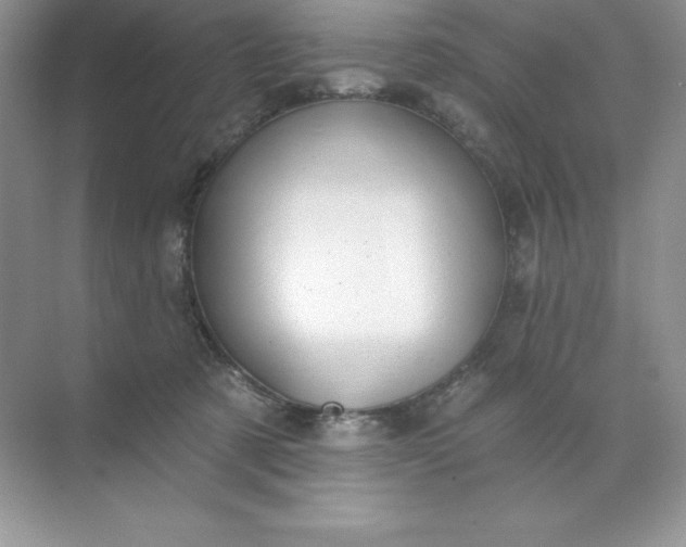 X0000071960321200607212259