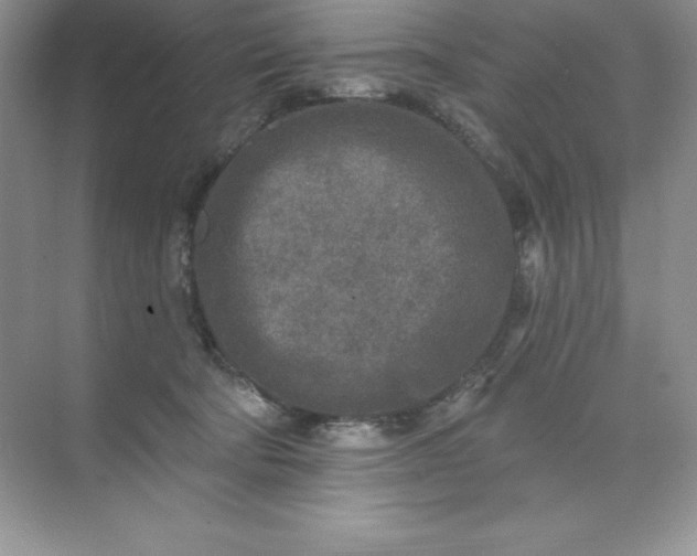 X0000071960322200607212259